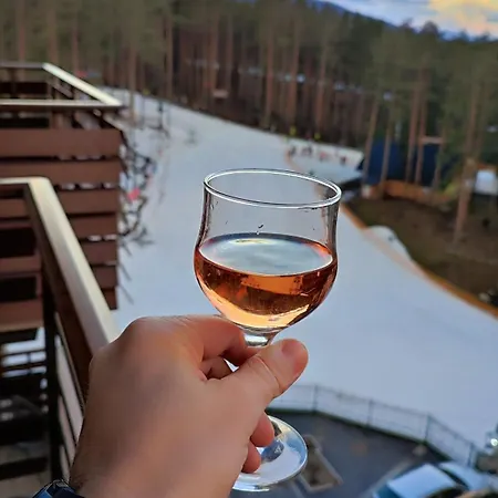 Apartment Balkanhill2 S37 Pekovic